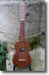 "Taropatch" (ou concert à 8 cordes) 