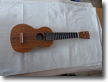 Soprano en Koa